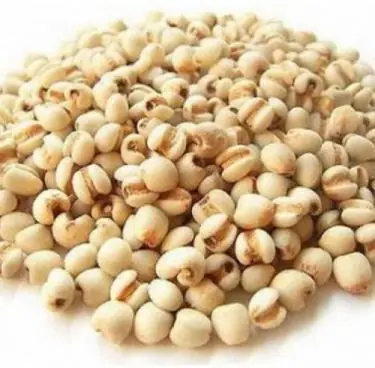 3. Cháo hành tía tô