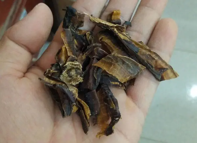 59 Bài Thuốc & Món Ăn Chữa Bệnh Từ Giun Đất – Địa Long