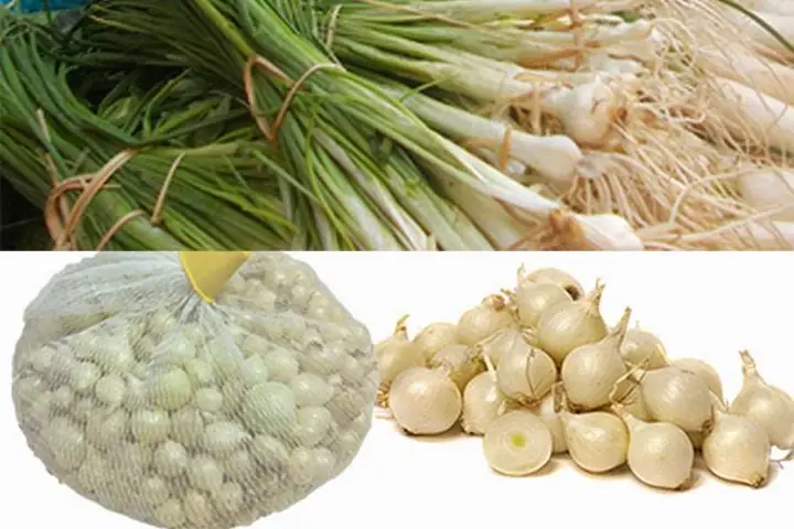 Cách nấu cháo hành tăm cho bà bầu thơm ngon, trị cảm hiệu quả - Ảnh 1