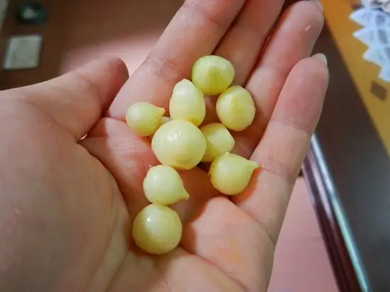 Cách nấu cháo hành tăm cho bà bầu thơm ngon, trị cảm hiệu quả - Ảnh 2