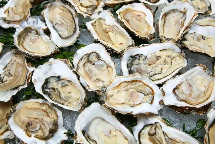 3cách Lựa Chọn Nguyên Liệu Nấu Cháo Hàu Cho Bé