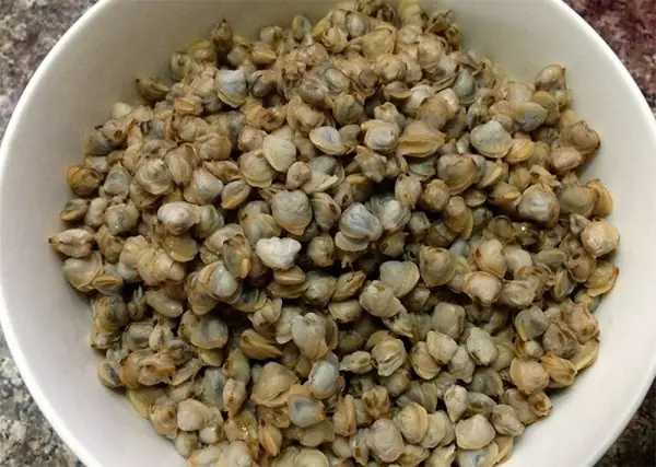 Nội Dung Bài Viết