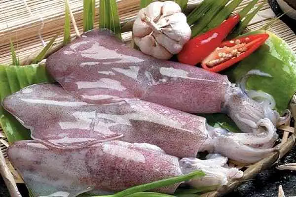 Cách Chọn Mực Ống Tươi Và Khô Ngon