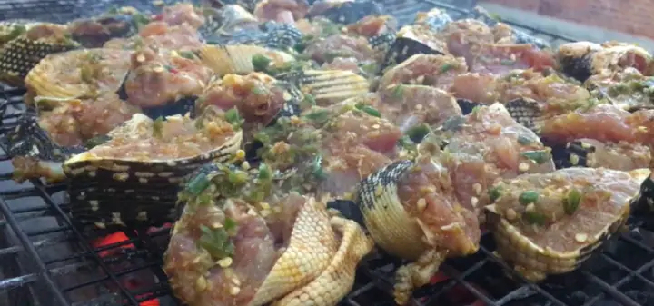 CON Ká»² ÄÃ CÃ TÃC Dá»¤NG THáº¾ NÃOÂ¶