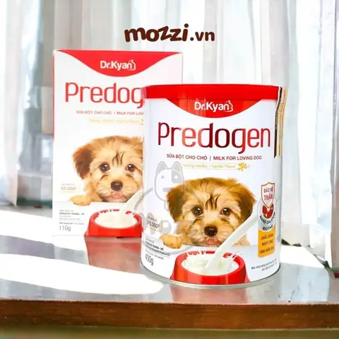 Một số lưu ý về chế độ dinh dưỡng cho chó con mới đẻ