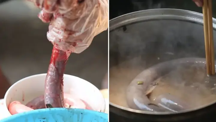 Video Đang Hot Video Đang Hot