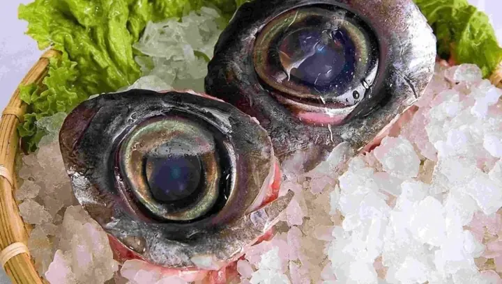 Giới thiệu về mắt cá ngừ đại dương Phú Yên