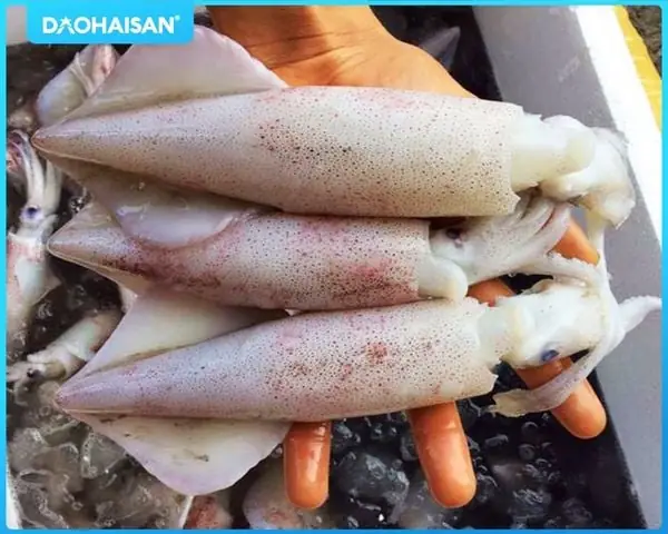 Cách Sơ Chế Mực Không Bị Tanh Cách Sơ Chế Mực Không Bị Tanh