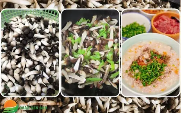 Lưu ý khi nấu món cháo nấm Mối Đen