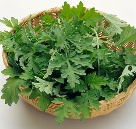 Cách Nấu Cháo Ngải Cứu Cách Nấu Cháo Ngải Cứu