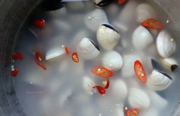 Cách Nấu Cháo Nghêu Thơm Ngon Cách Nấu Cháo Nghêu Thơm Ngon