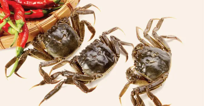 TỔNG HỢP KINH NGHIỆM MỞ CỬA HÀNG CHÁO DINH DƯỠNG HÚT KHÁCH