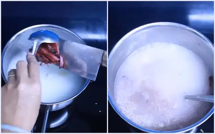 Bước 3Nấu cháo với nhung hươu