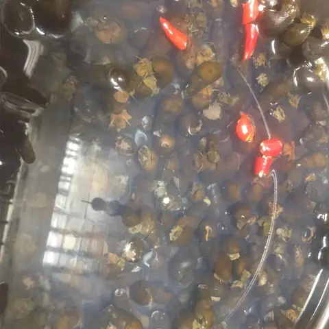 Sơ chế nguyên liệu Sơ chế nguyên liệu