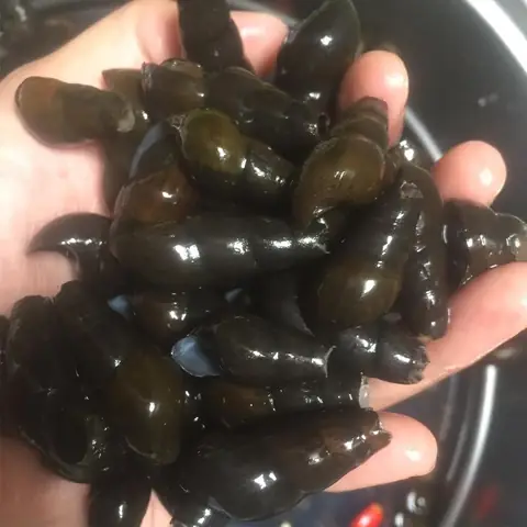 Sơ chế nguyên liệu