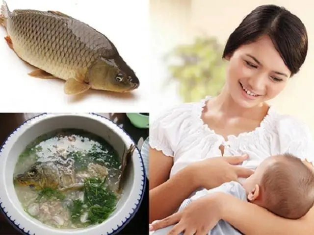 Cách Nấu Cháo Cá Chép Cho Bé Thơm Ngon Mà Không Bị Tanh