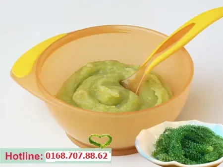 Cháo Dinh Dưỡng Rong Nho