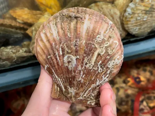 Cách Chọn Mua Nguyên Liệu Tươi Ngon