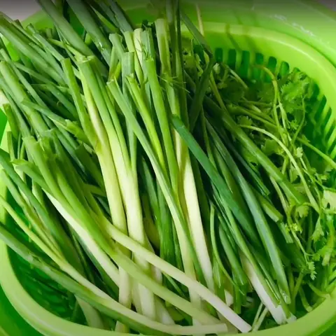 Sơ chế nguyên liệu Sơ chế nguyên liệu