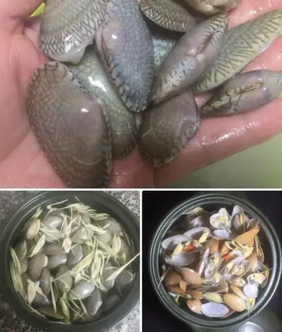 Cách chế biến Cháo sò lụa