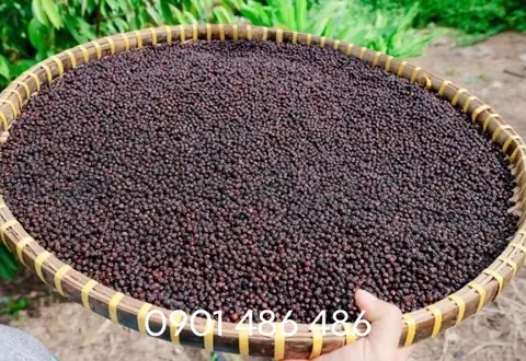 Cách Nấu Cháo Tiêu Hành Cách Nấu Cháo Tiêu Hành