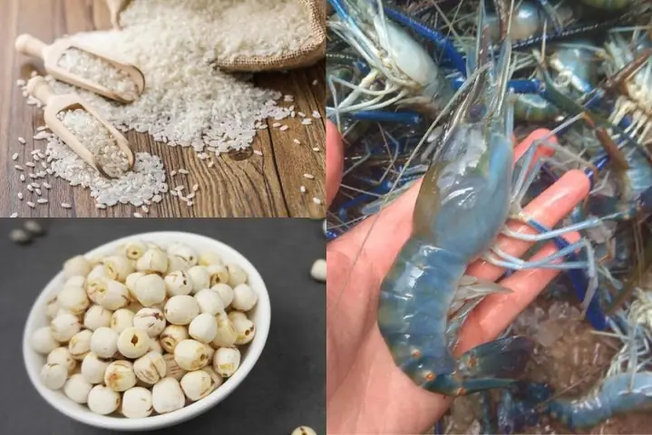 2Cháo tôm càng xanh hạt sen