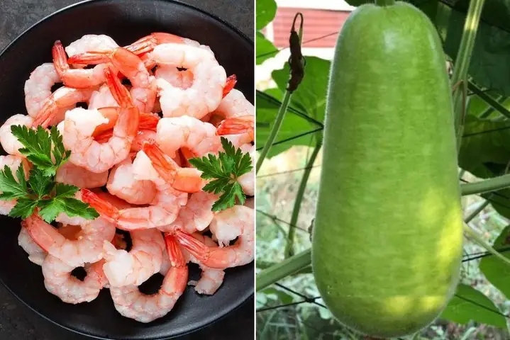 1Lợi ích khi cho bé ăn dặm cháo tôm bầu