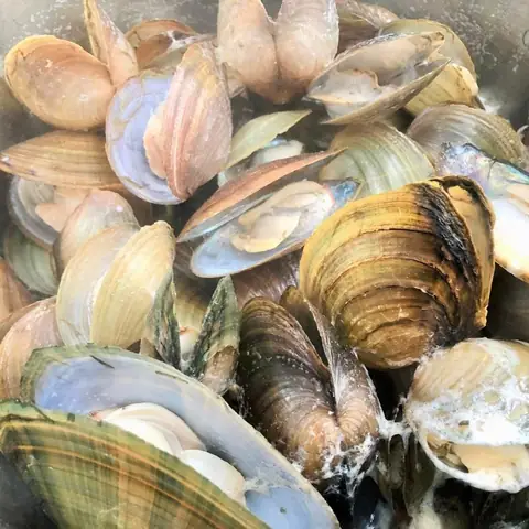 Sơ chế nguyên liệu