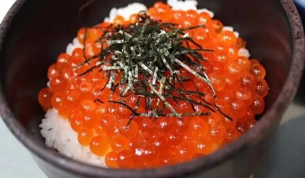 Cung cấp nhiều loại Protein, Vitamin và nhiều khoáng chất thiết yếu