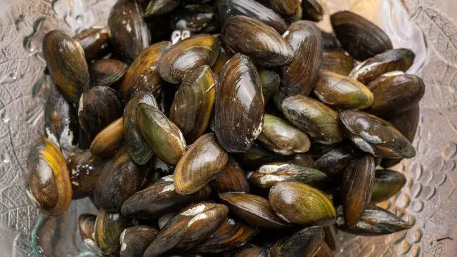 Món Ăn Từ Trùng Trục Trị Mồ Hôi Trộm Cho Trẻ