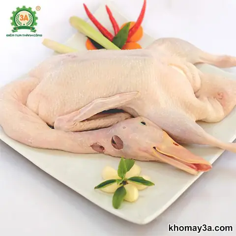 cách nấu cháo vịt cách nấu cháo vịt