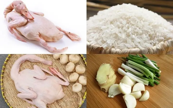 Nguyên Liệu Chính