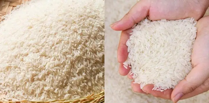 Loại Gạo Nào Nấu Cháo Ngon Nhất?