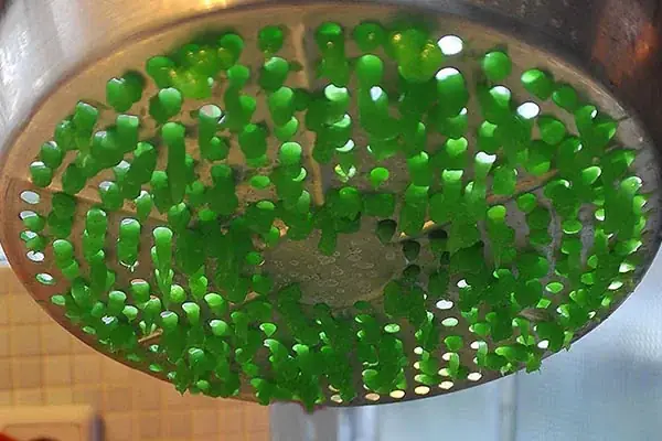 Cách làm chè bánh lọt nước dừa