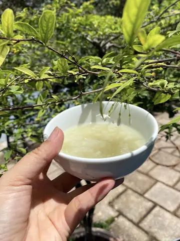 Nhớ Chè Bắp "chưa Qua Sông"! Nhớ Chè Bắp "chưa Qua Sông"!