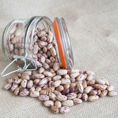 5. Mua Đậu Cúc Ở Đâu Để Nấu Chè Đậu Cúc Ngon Chuẩn Vị? 5. Mua Đậu Cúc Ở Đâu Để Nấu Chè Đậu Cúc Ngon Chuẩn Vị?