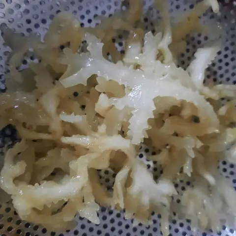 Sơ Chế Rau Chân Vịt Khô