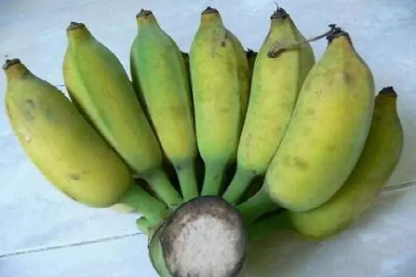 Nguyên liệu nấu chè chuối khoai lang nước cốt dừa