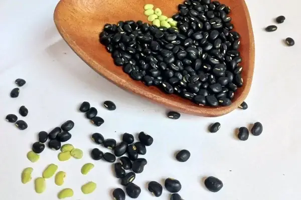 Cách chọn mua đậu đen ngon Cách chọn mua đậu đen ngon