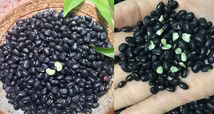 Cách nấu chè đậu đen và đậu xanh thơm béo ngậy chỉ 45 phút