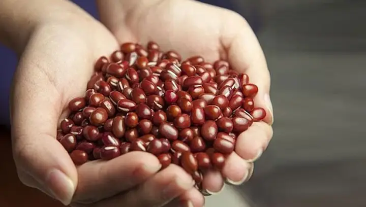 Những Lưu Ý Khi Chọn Nguyên Liệu Nấu Chè Những Lưu Ý Khi Chọn Nguyên Liệu Nấu Chè