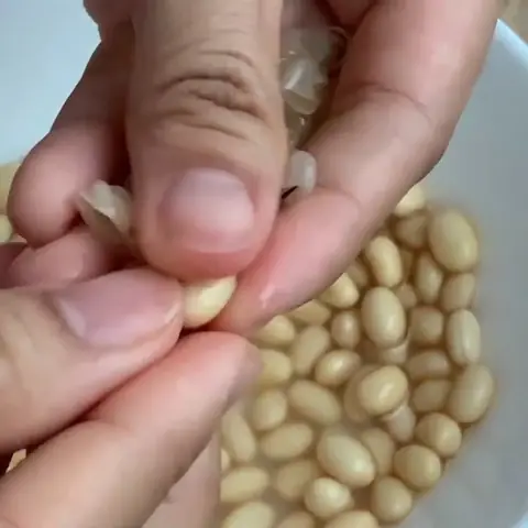 Sơ chế đậu nành Sơ chế đậu nành