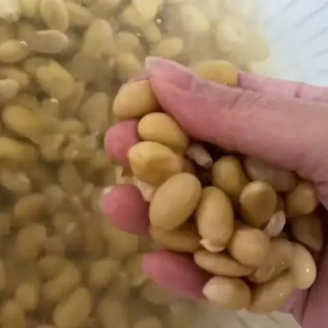 Vo và ngâm đậu nành Vo và ngâm đậu nành