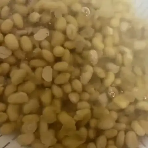 Vo và ngâm đậu nành Vo và ngâm đậu nành