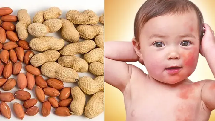 3. Tác dụng của đậu phộng đối với sự phát triển của trẻ