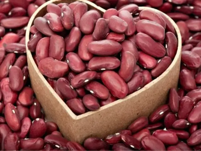 1.3. Nên ngâm đậu tây trong bao lâu để nhanh chín? 1.3. Nên ngâm đậu tây trong bao lâu để nhanh chín?