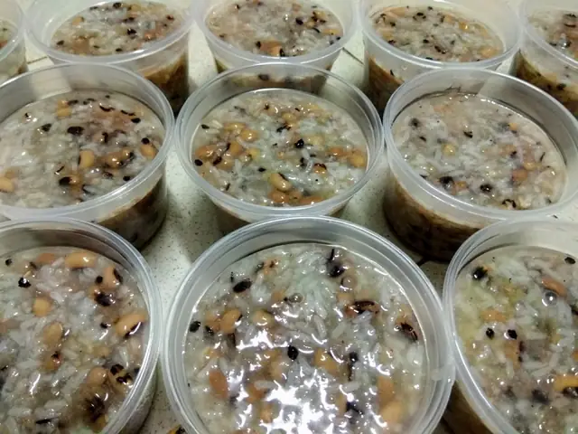 Cách Nấu Chè Đậu Trắng Cúng Thôi Nôi Đơn Giản Cách Nấu Chè Đậu Trắng Cúng Thôi Nôi Đơn Giản