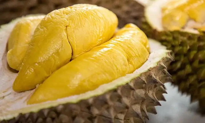 Nguyên Liệu Nấu Chè Đậu Xanh Đánh Sầu Riêng Nguyên Liệu Nấu Chè Đậu Xanh Đánh Sầu Riêng