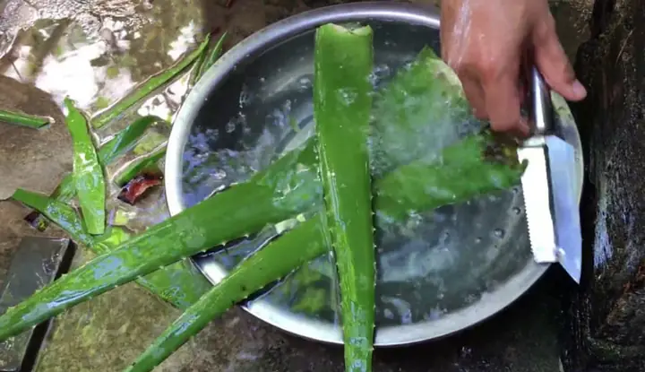 1.2. Hướng dẫn cách nấu chè nha đam đậu xanh cốt dừa