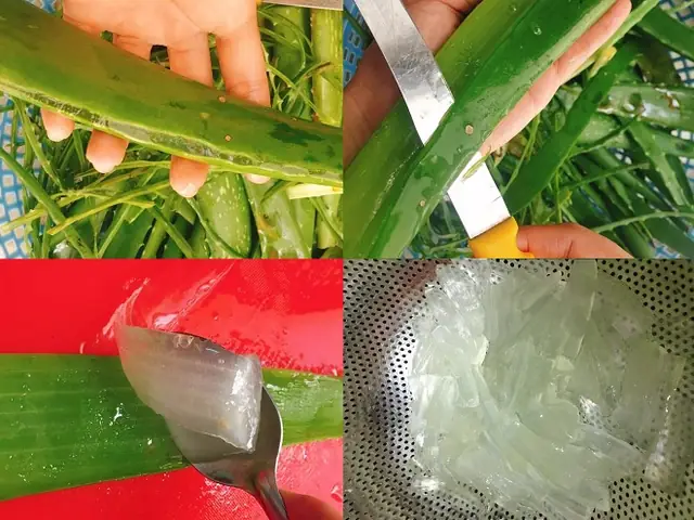 Video Đang Hot Video Đang Hot